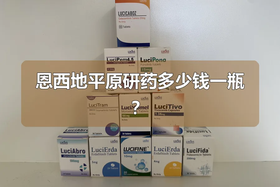 恩西地平原研药多少钱一瓶？