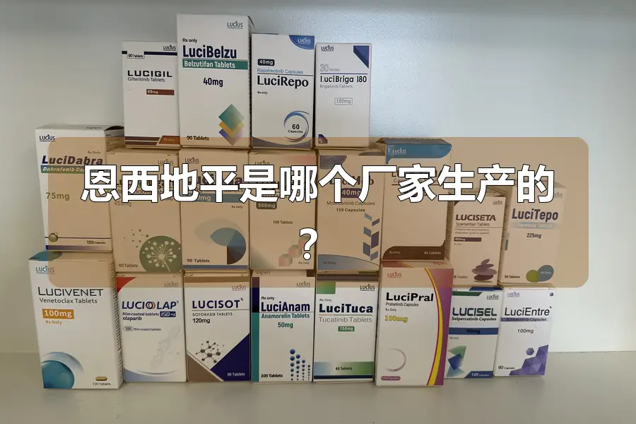 恩西地平是哪个厂家生产的?