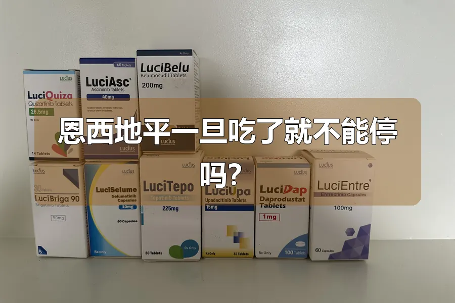 恩西地平一旦吃了就不能停吗?